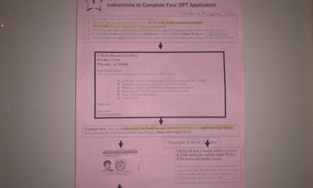OPT Helps International Students Get Work Experience