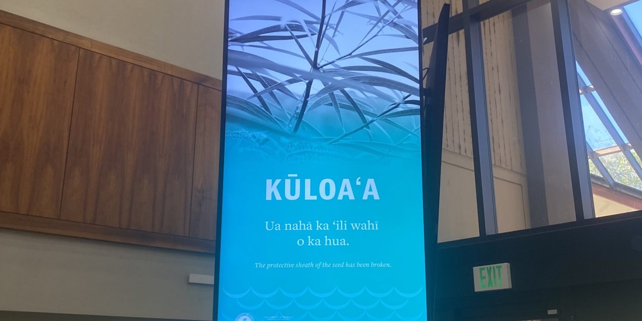Kūloaʻa Program Provides Community, Accountability For KCC Students