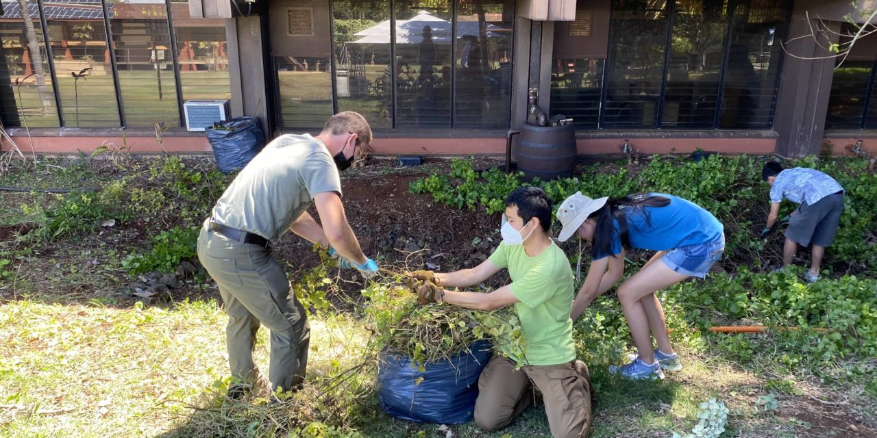 Rain Garden Cleanup Unites Student Body